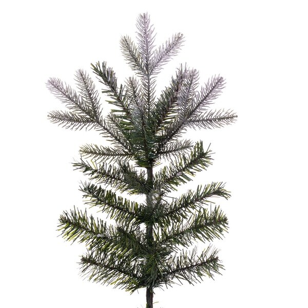 Vickerman 6.5' x 50 Frosted Douglas Fir Artificial UnLit Christmas Tree.