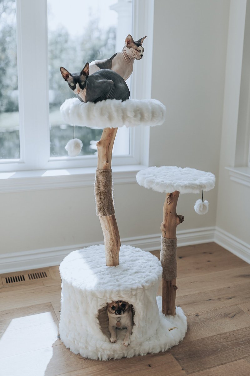 Mau Lifestyle Alba 43-in Modern Wooden Cat Tree and Condo