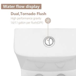 LORDEAR 12 in. Rough-In 1-piece 1.61.1 GPF Dual Flush Elongated Toilet in White Soft Close Seat Included MT1001DL7