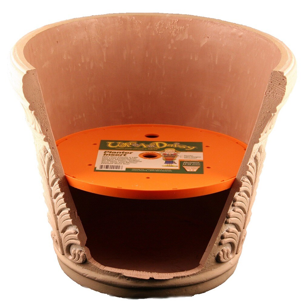 Bloem Ups A Daisy Round Planter Insert: 12\