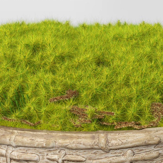 Artificial Moss In Textured Pot Green Designed With Studio Mcgee