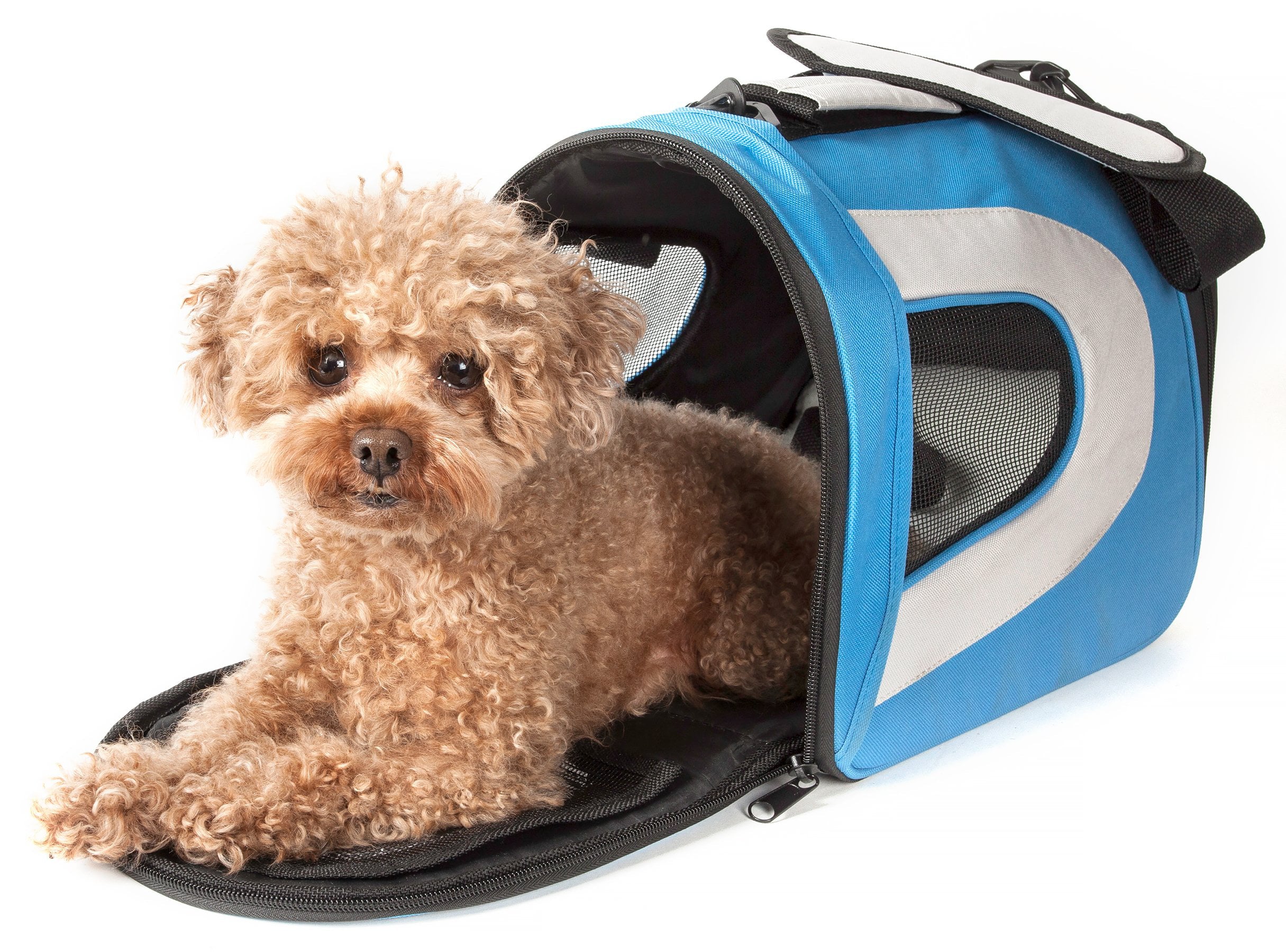 Pet Life ® Sporty Mesh Airline Approved Zippered Folding Collapsible Travel Pet Dog Carrier