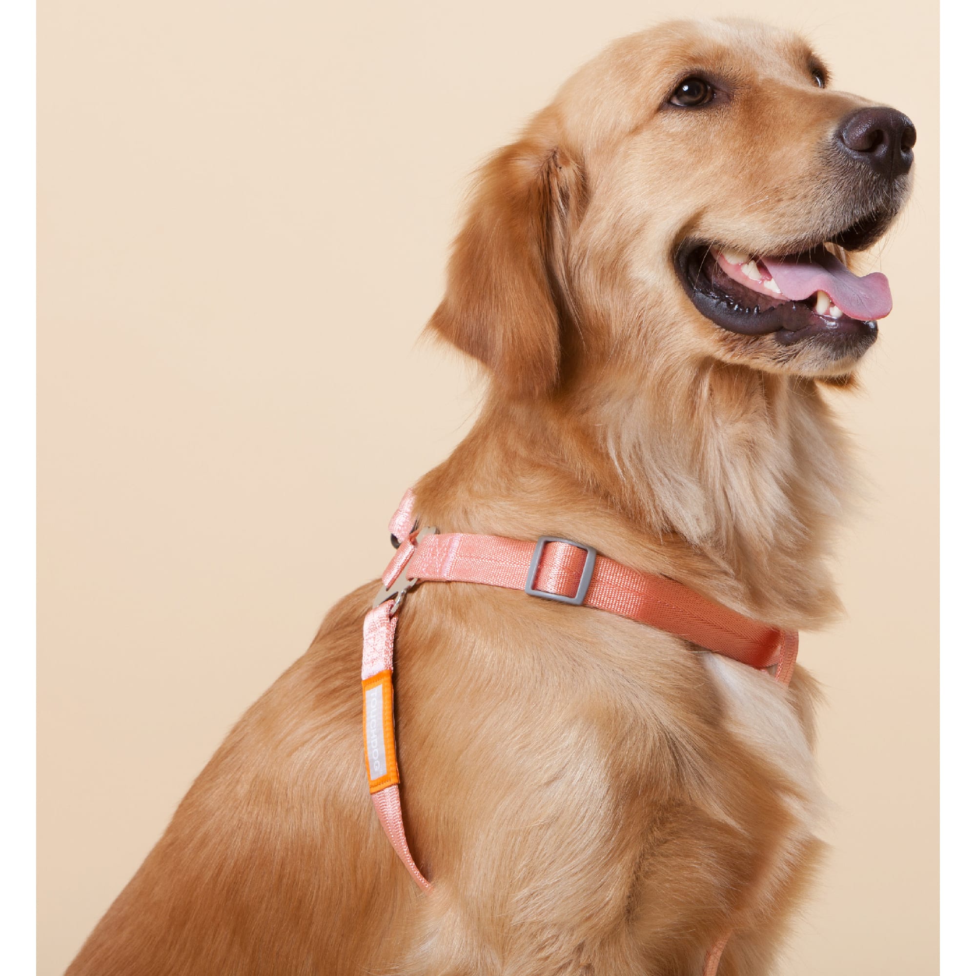 Touchdog Pink Macaron 2-in-1 Durable Nylon Dog Harness and Leash， Medium