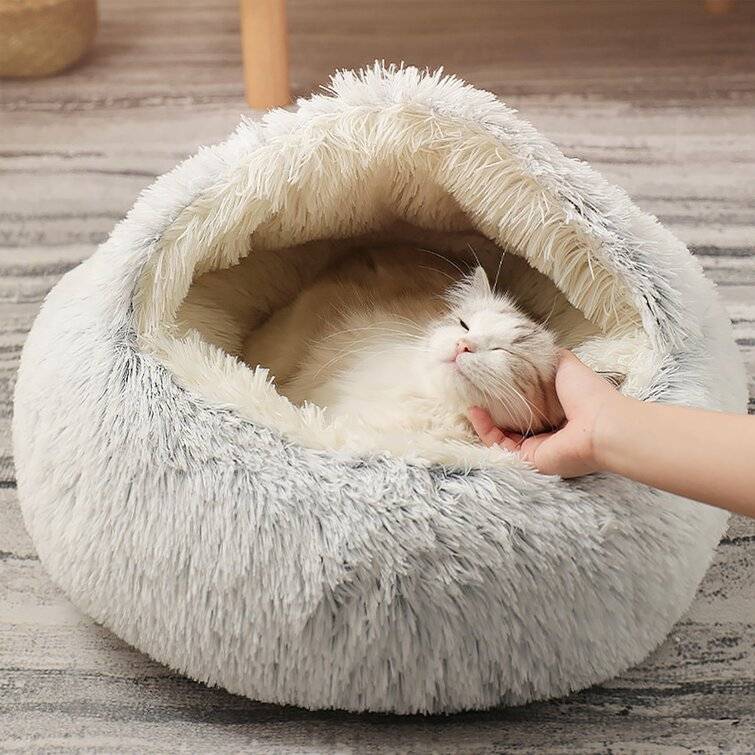 Balthrop Pet Bed