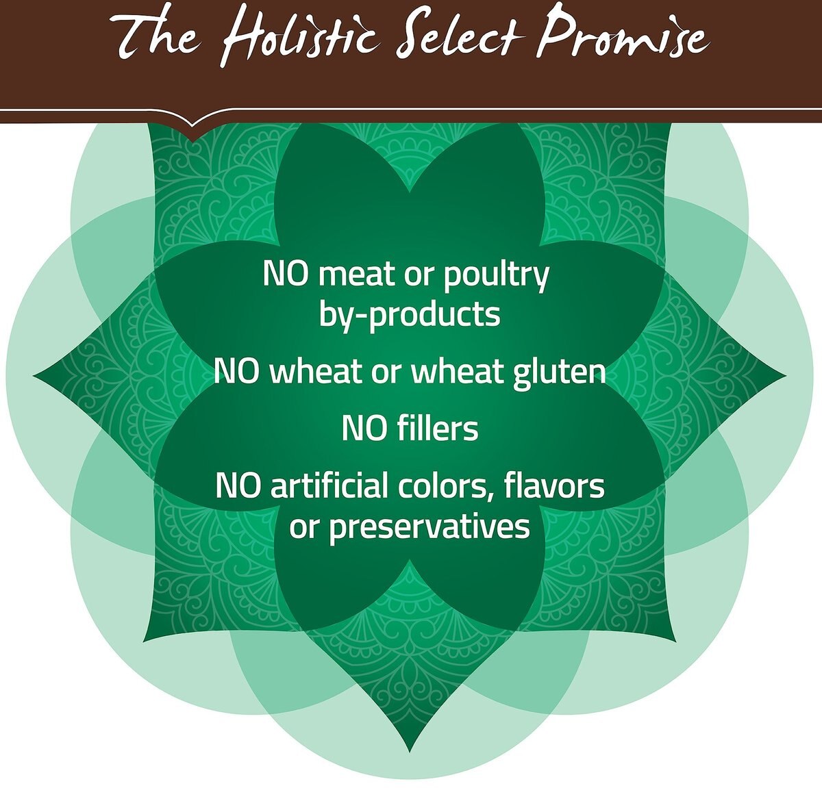 Holistic Select Large and Giant Breed Puppy Health Lamb Meal and Oatmeal Recipe Dry Dog Food