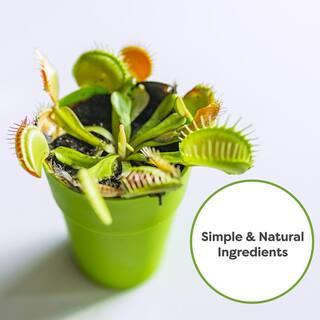 Perfect Plants 4 Qt. Organic Carnivorous Plant Soil - Balanced Substrate HDSoil006