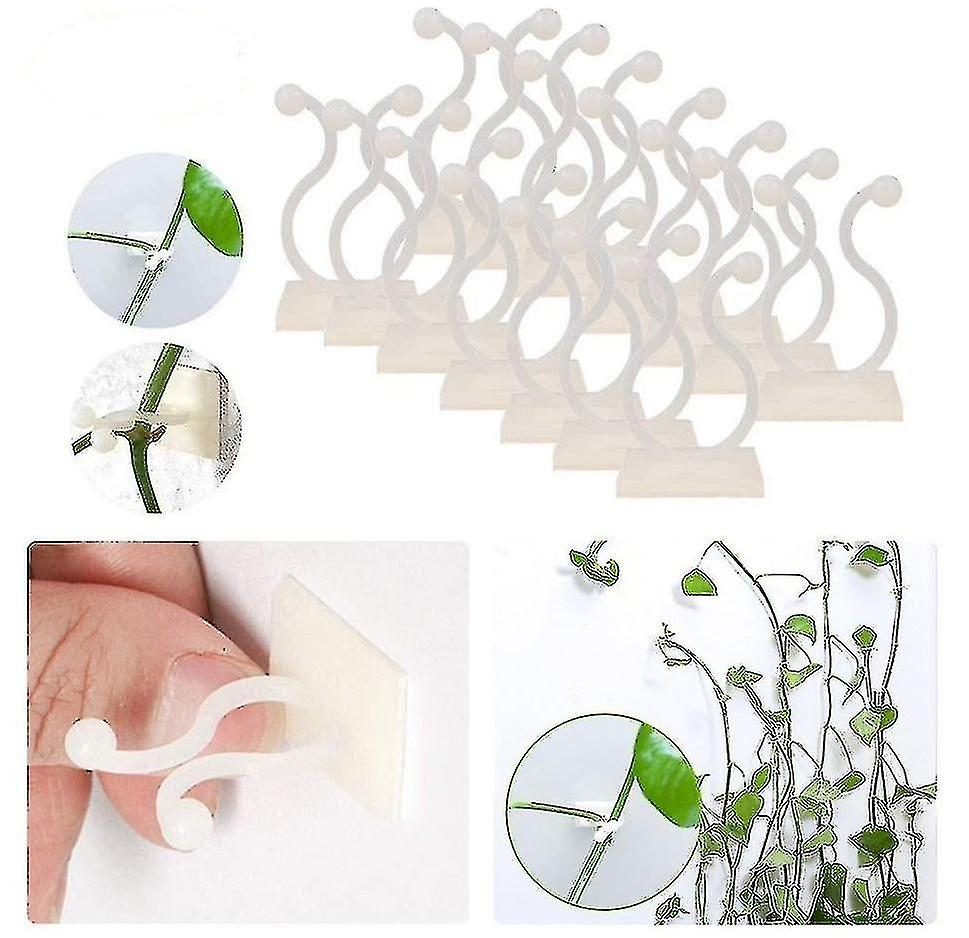 50 Pcs Paste Seamless Hook Green Radish Climbing Wall Fixer Green Plant Fixer Vine Green Vine Climbi