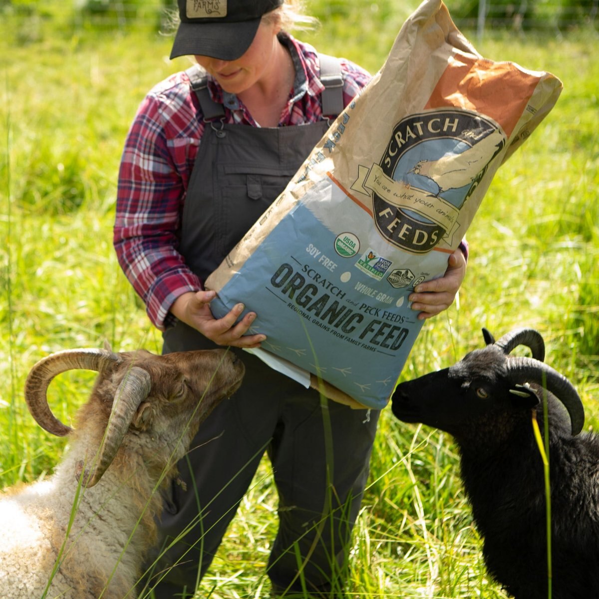 Scratch and Peck Feeds Organic Goat Feed， 40-lb bag