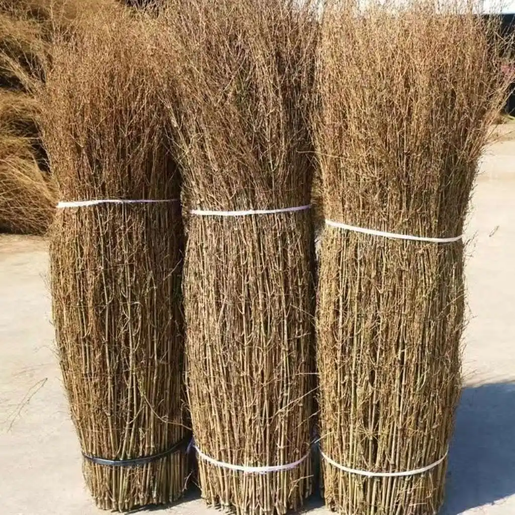 Cheap price wholesale supplies dried bamboo branches fence