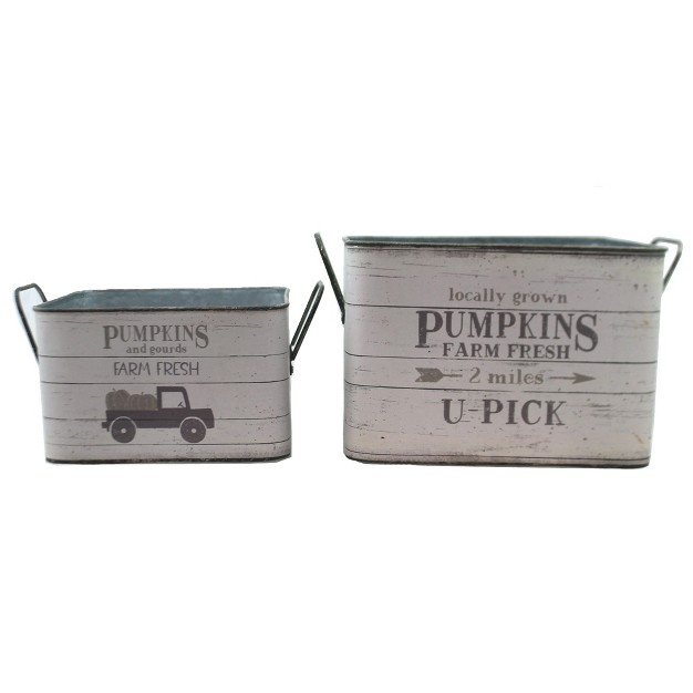 Farm Fresh Pumpkins Buckets St 2 Truck Vintage style Decorative Container Sets