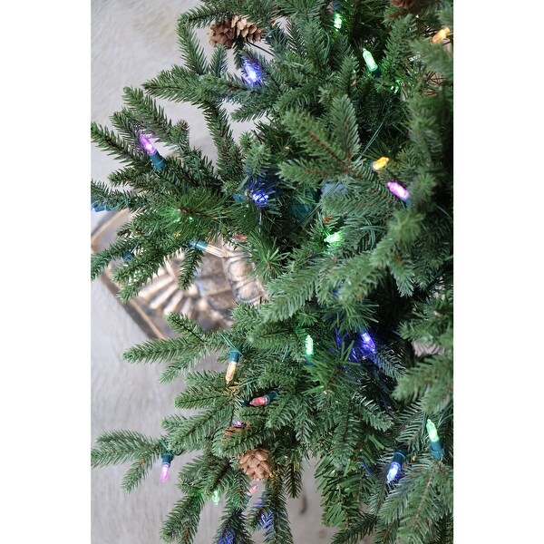 Fraser Hill Farm 4.0' Noble Fir Potted Tree