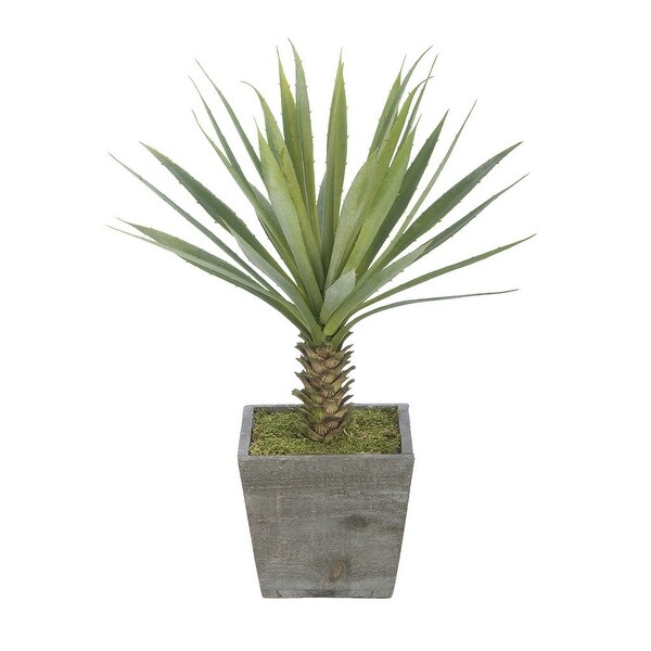 Faux Baby Yucca in Washed Wood Cube Planter