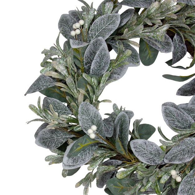 Northlight Iced Leaves And Winter Berries Artificial Christmas Wreath 24 Inch Unlit