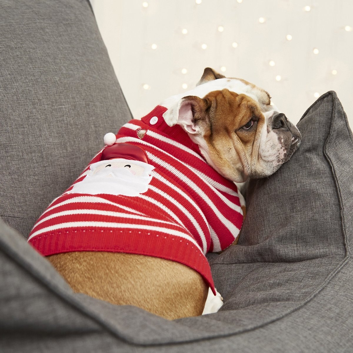 Frisco Striped Santa Dog and Cat Christmas Sweater