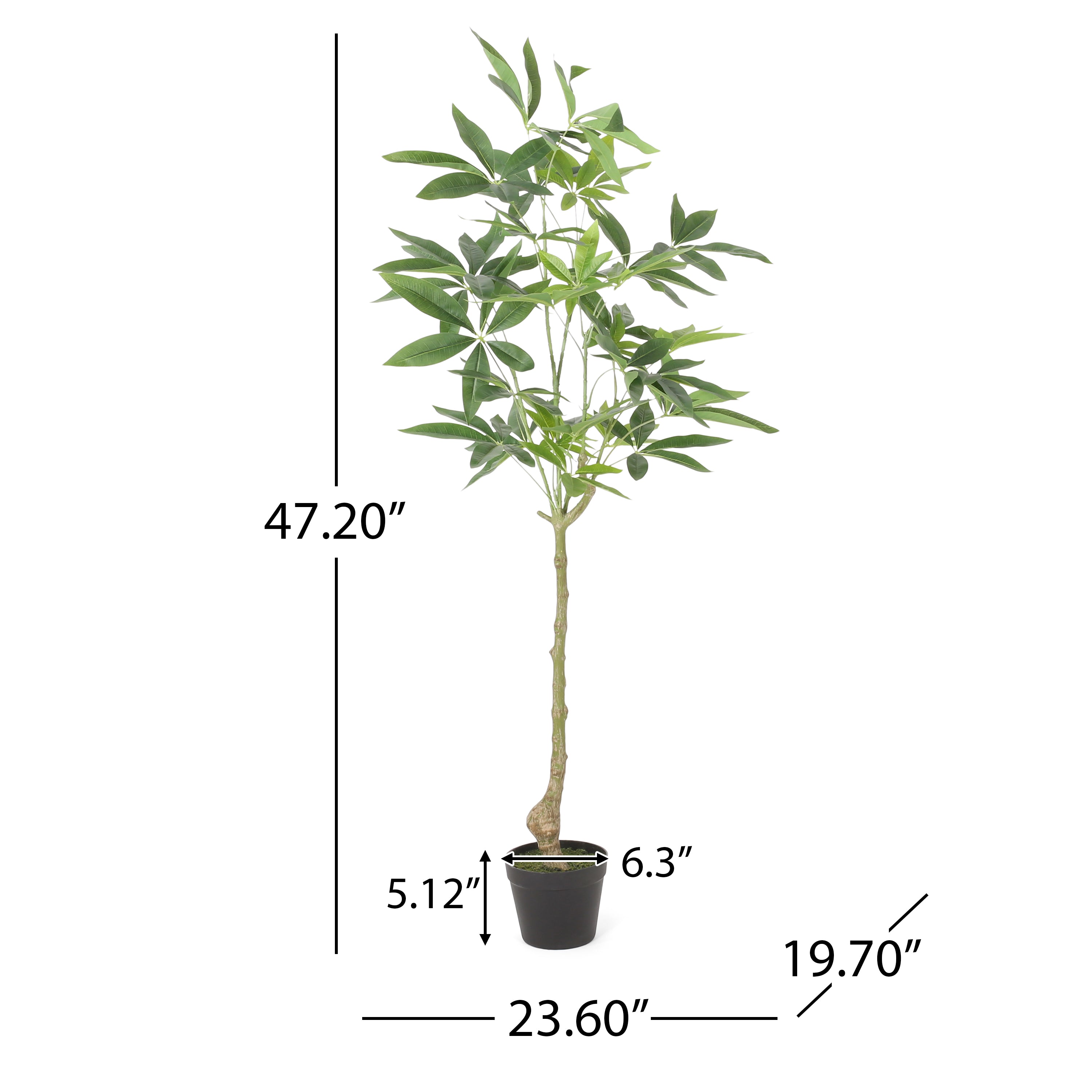 Coles Artificial Money Tree