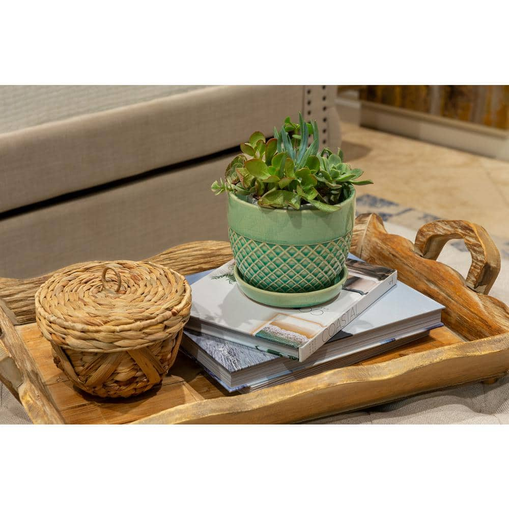 Trendspot 6 in. Mint Acorn Ceramic Planter CR10732S-060G