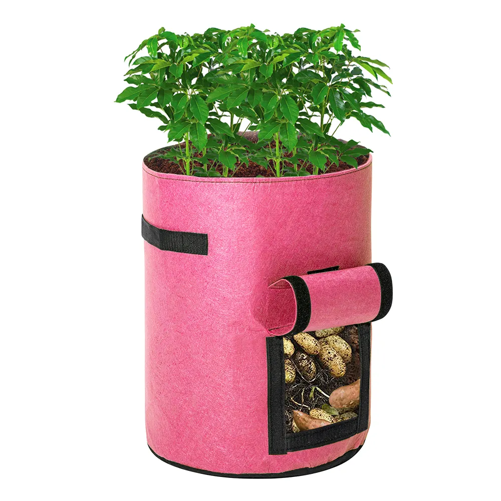 Many gardening supplies use plant pots 5 gallon bucket