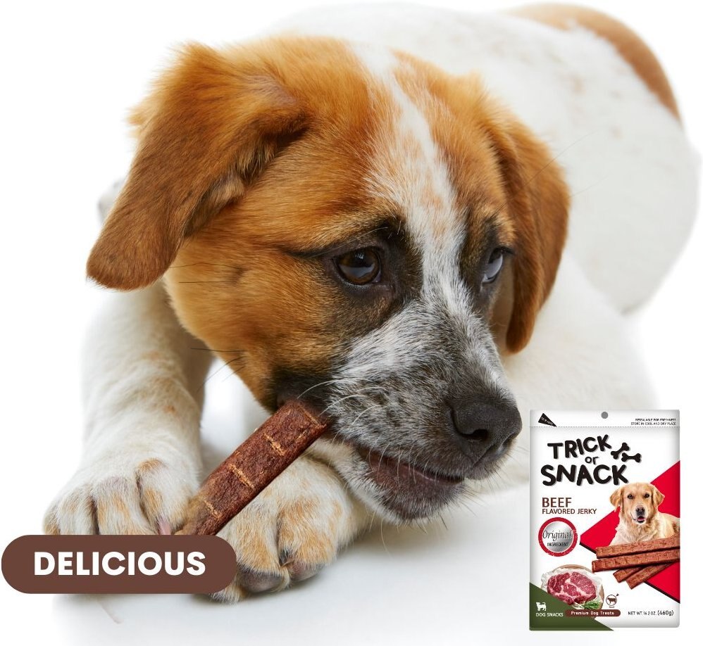 Trick or Snack Natural Smoked Delicious Soft Tender Nutritious Healthy Beef Original Jerky Dog Treat， 1-lb bag