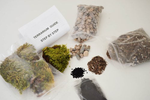 9GreenBox - Terrarium/Fairy Garden Kit - Create Your Own Living Terrarium or Fairy Garden