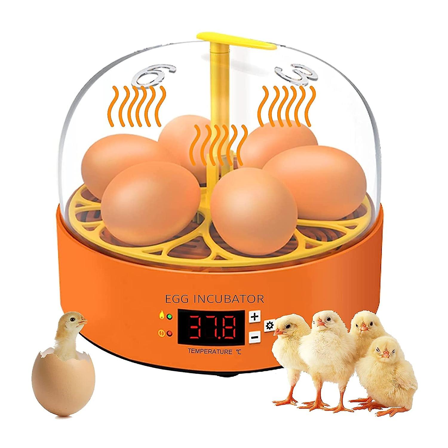 Egg Incubator， Fully Automatic 6 Eggs Poultry Hatching Machine， With Automatic Egg Turning and Temperature Control Digital Incubators， Suitable For Eggs