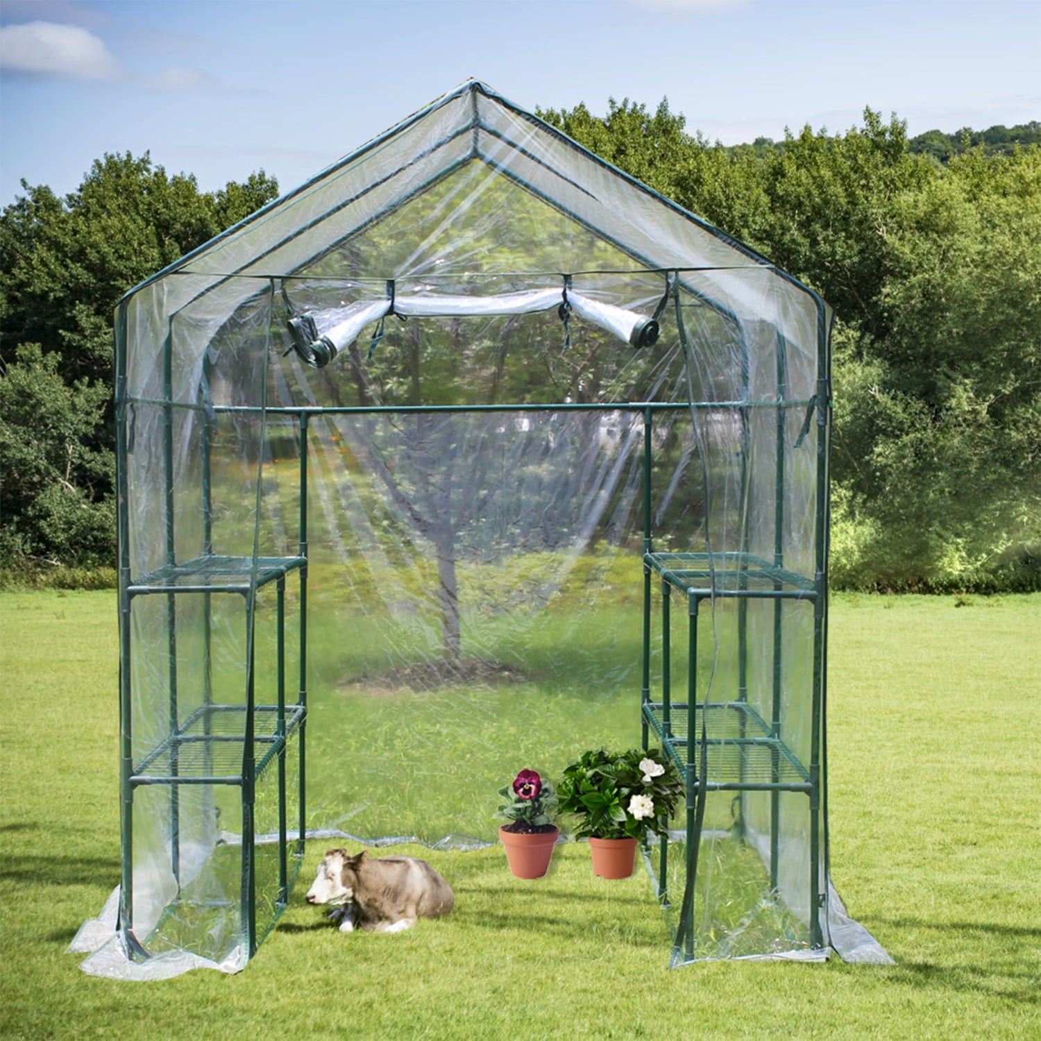 Unique Choice 56 x 56 inches Walk-in Greenhouse With Shelves, Transparent Cover