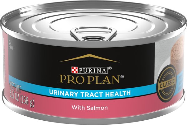 Purina Pro Plan Focus Adult Urinary Tract Health Formula with Salmon Classic Canned Cat Food