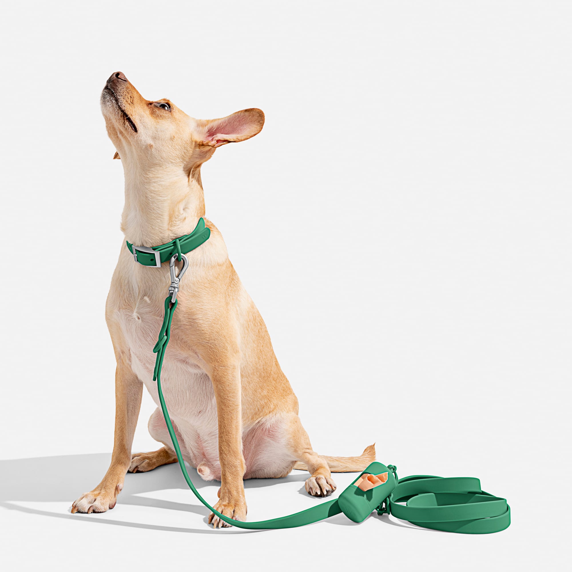 Wild One Spruce Dog Leash， 66