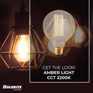 Bulbrite 40-Watt G30 Incandescent Light Bulb Medium Base (E26) Antique Nostalgic Thread 2200K (4-pack) 861378