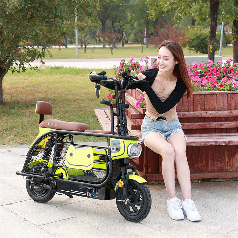 2023 new style High quality Adult Popular Foldable 350w 36v 10ah cycle  mini three wheeled electric bike  pet bike