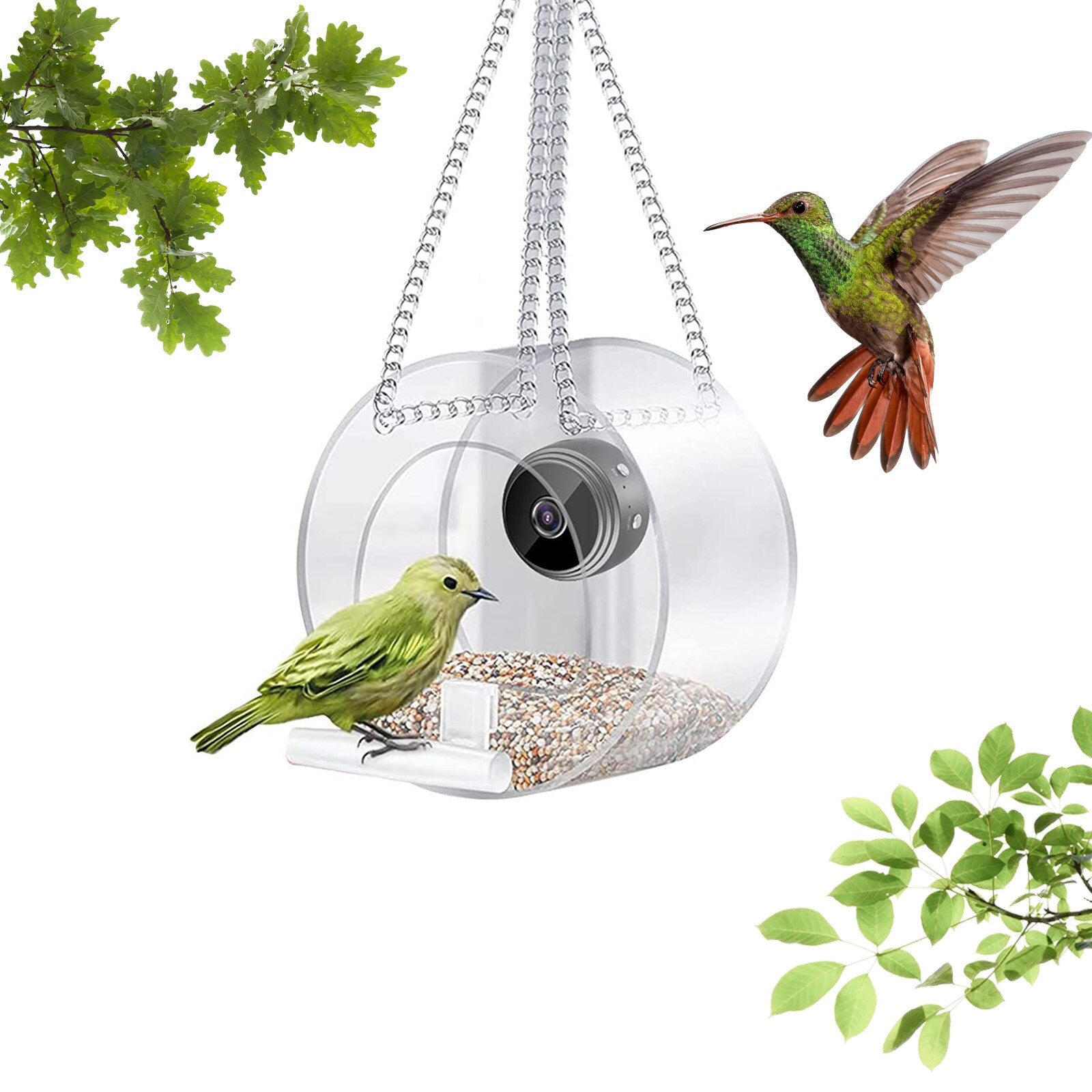 Bird Feeder with Camera HD 1080P Night Version Camera WiFi Remote Connection to Mobile Phone for Family， Outdoor Bird Watching Photos Bird Lovers