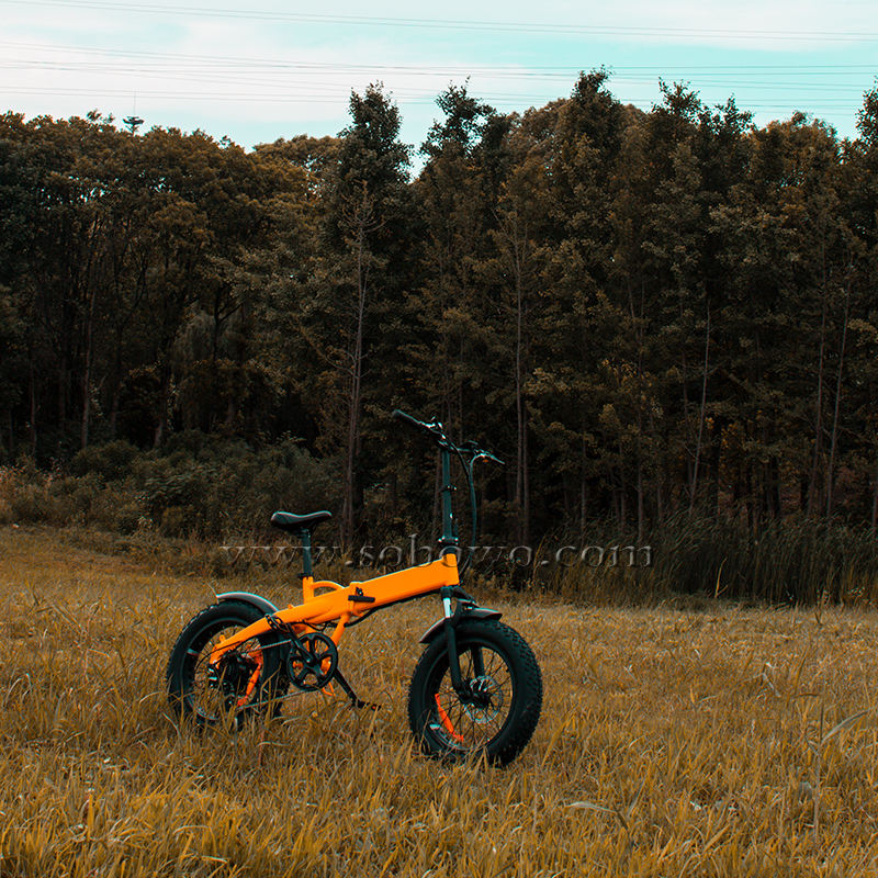 customized aluminum electric cycle 2 seater city e bikes 48 volt 500 watts folding ebike 20 inch fat tire electric bike