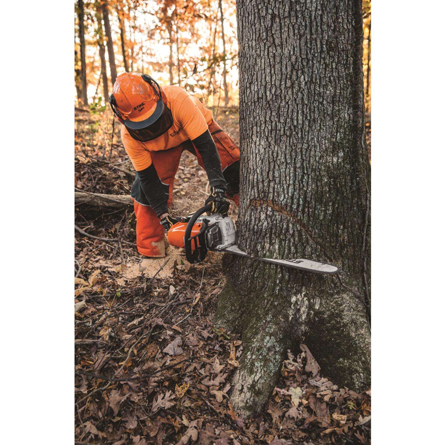 STIHL MS 462 C-M 25 in. 72.2 cc Gas Chainsaw