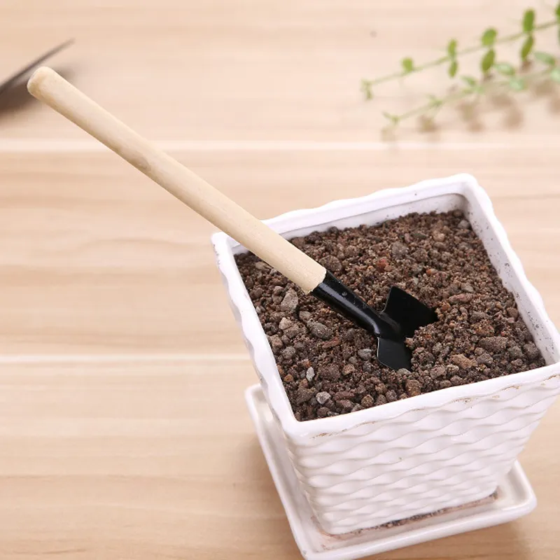 Mini Bonsai Starter Hand Tool Kit