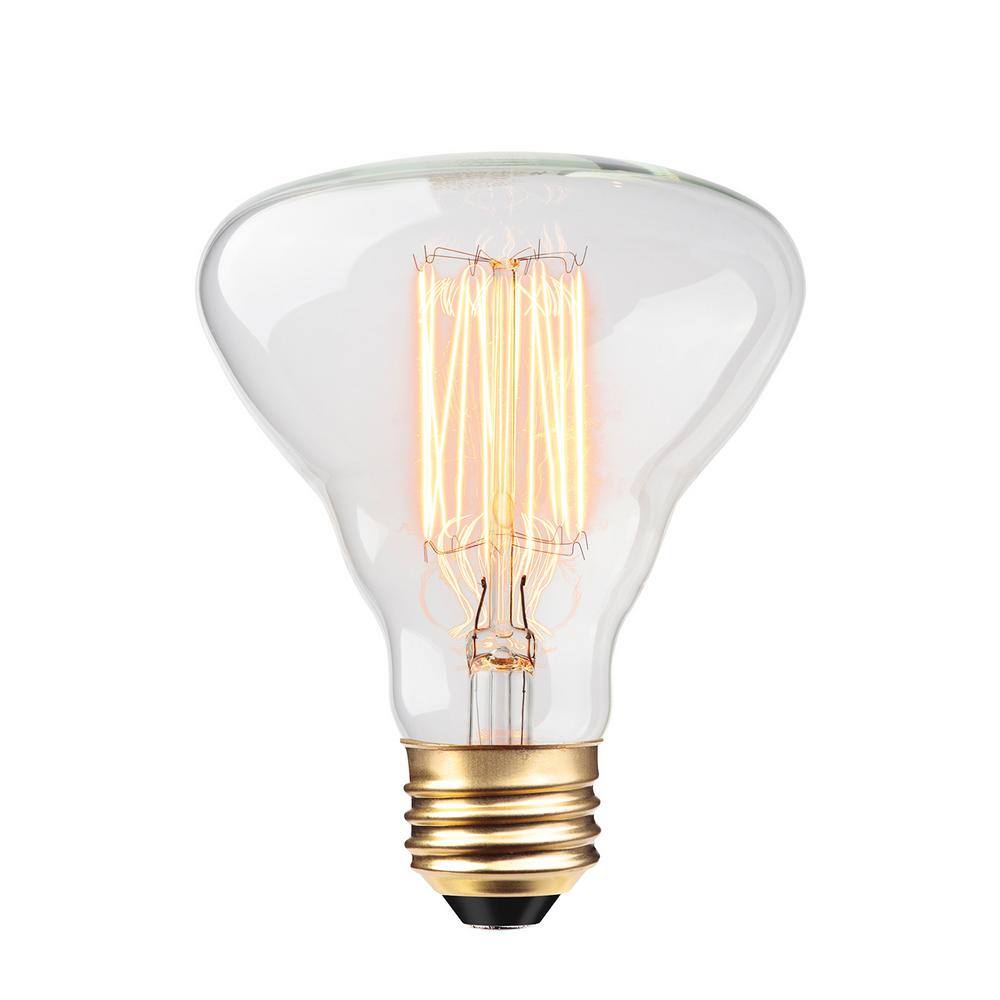 Globe Electric 40 Watt Labo Shape Dimmable Cage Filament Vintage Edison Incandescent Light Bulb Soft White Light 84654