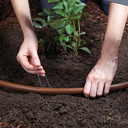 Raindrip Drip Irrigation Garden Kit