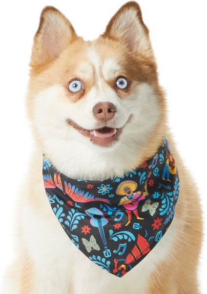 Pixar Coco Remember Me Dog and Cat Bandana