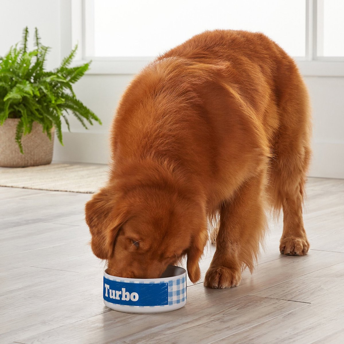 Frisco Personalized Gingham Plaid Dog Bowl