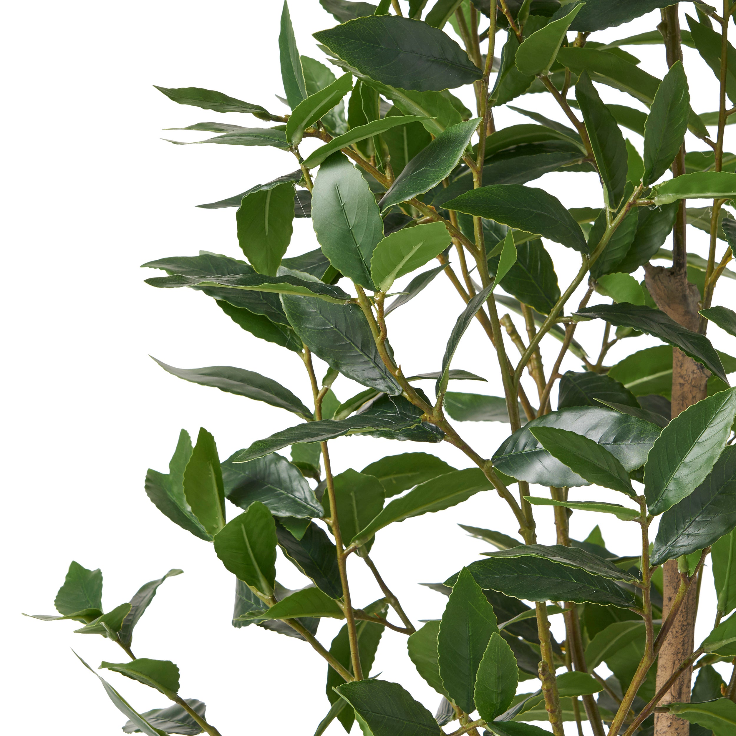 Forgan Artificial Laurel Tree