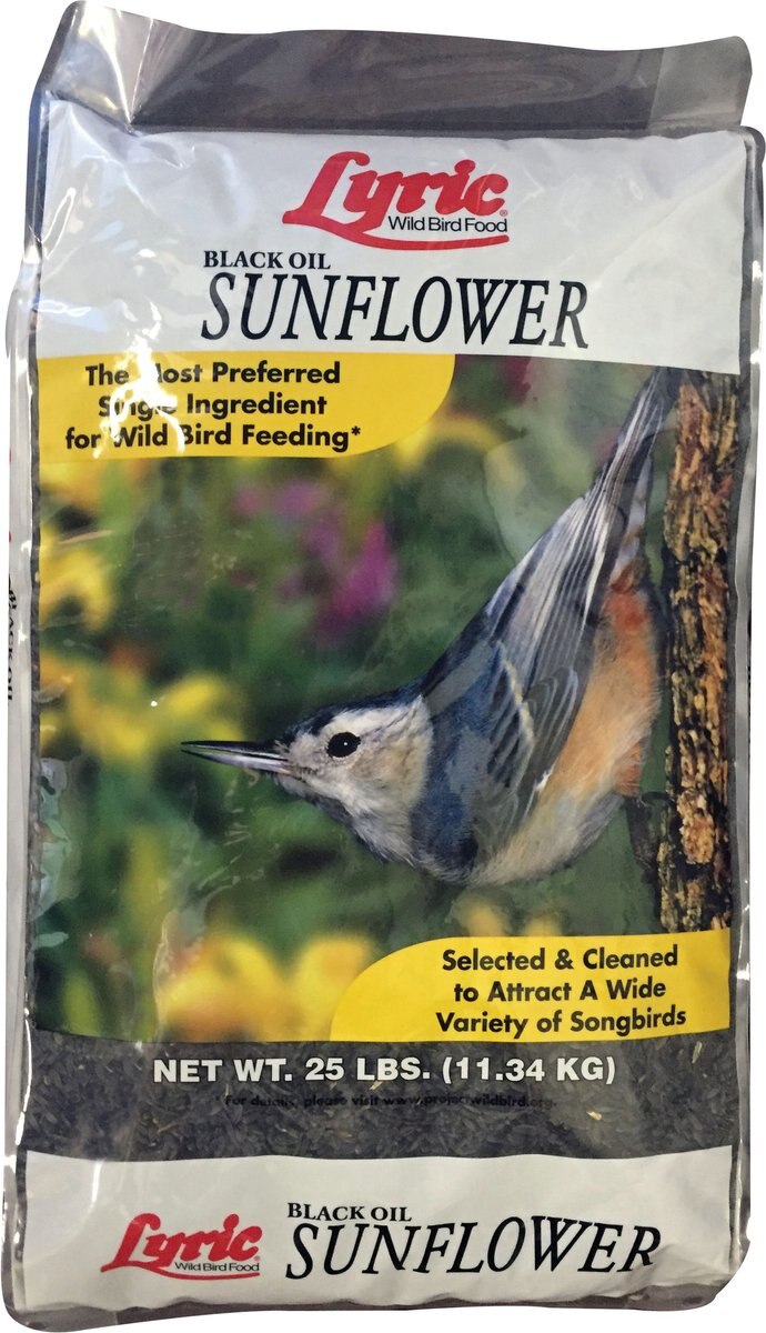 Lyric Black Oil Sunflower Wild Bird Food， 25-lb bag