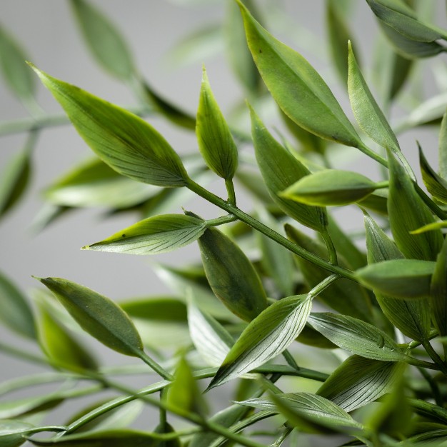 Sullivans Artificial Leafy Green Ruscus Bush 14