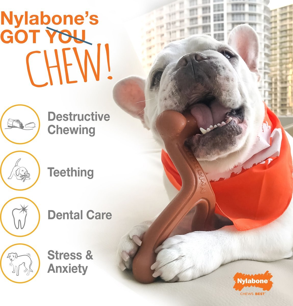 Nylabone Power Chew Bacon Flavored Dog Chew Toy