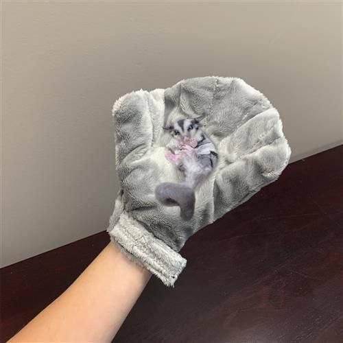 Exotic Nutrition Calming Small Pet Glove， Gray