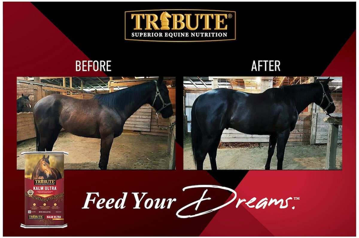 Tribute Equine Nutrition Kalm Ultra High Fat Horse Feed