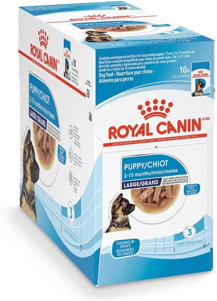 Royal Canin Size Health Nutrition Large Puppy Chunks in Gravy Dog Food Pouch， 4.9-oz， case of 10