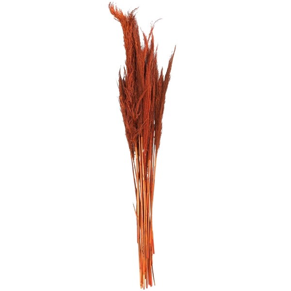 Orange Dried Plant Tall Pampas Grass Home Decor Natural Foliage