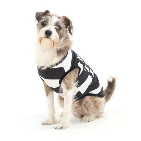 Brybelly MCOS 603 Convict Dog Costume (Small Breed...