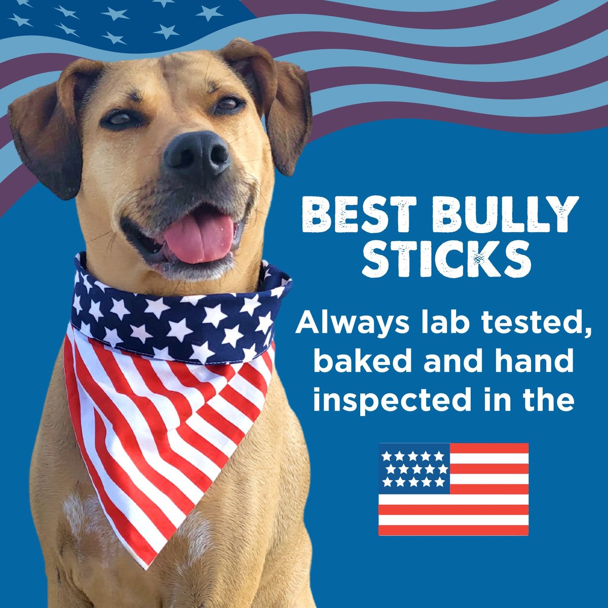 Best Bully Sticks Odor Free 6\