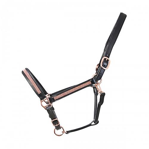 Hy Rosciano Leather Horse Headcollar