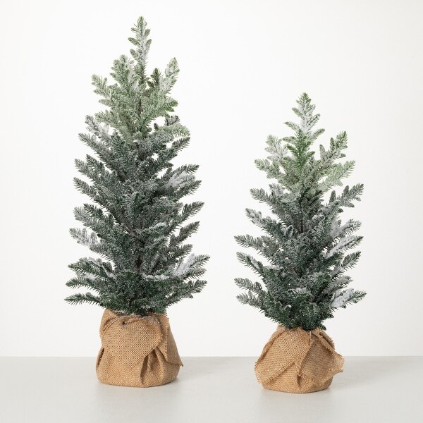 25H and 20.5H Sullivans Snowy Pine Tree In Burlap