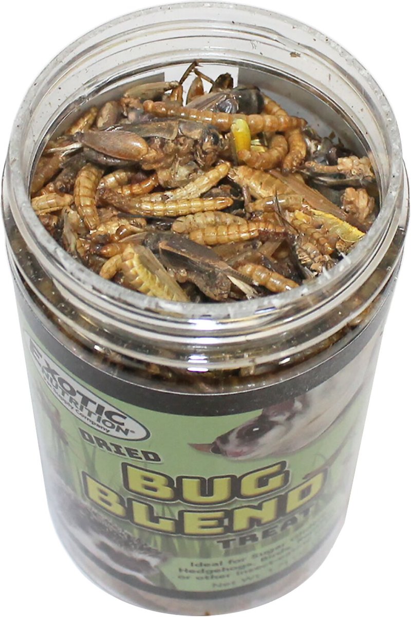 Exotic Nutrition Bug Blend Small Animal Treats， 1.71-oz jar